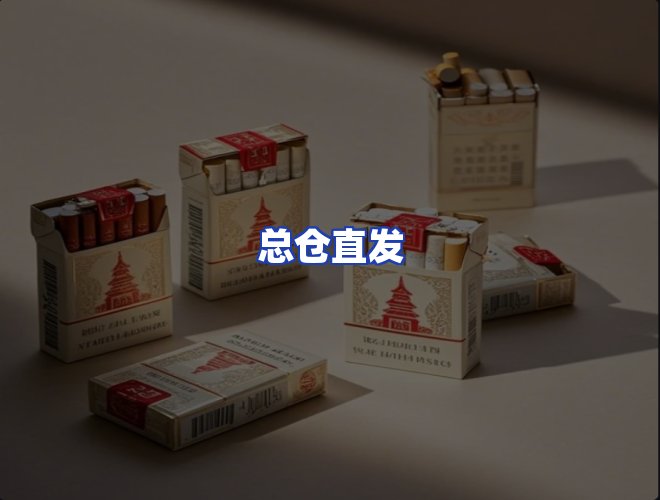 专业团队